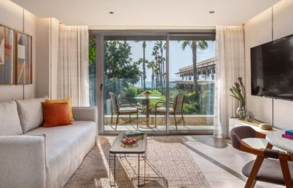 Terrace Junior Suite