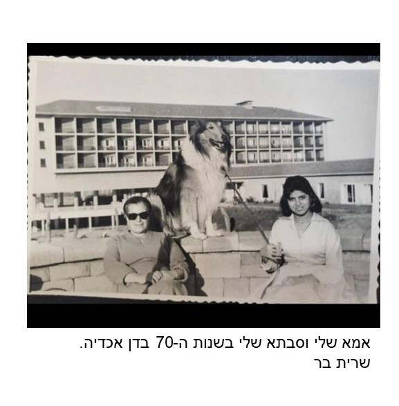 שרית