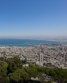 הנוף של חיפה: עצים, בתים וים.