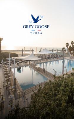 לוגו גריי גוס על רקע דן אכדיה