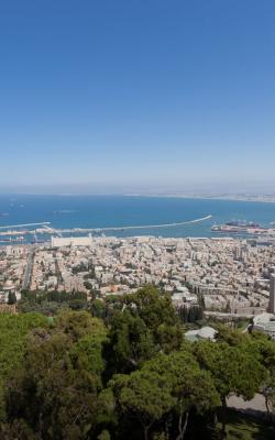 הנוף של חיפה: עצים, בתים וים.