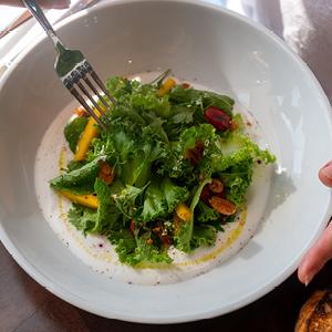 Salad