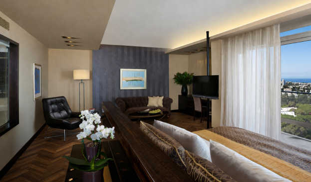 תמונה של סוויטת סטודיו